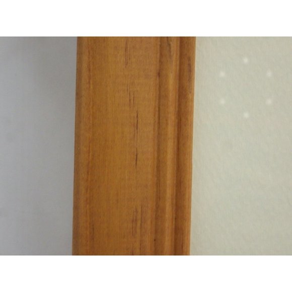 Colorado Landscape Trees Framed Photo Print Buffalo Pass Steamboat Springs - Picture 6 of 8